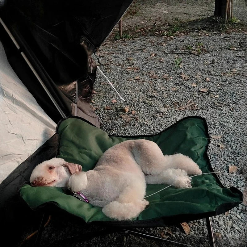Foldable Waterproof Camping Pet Bed